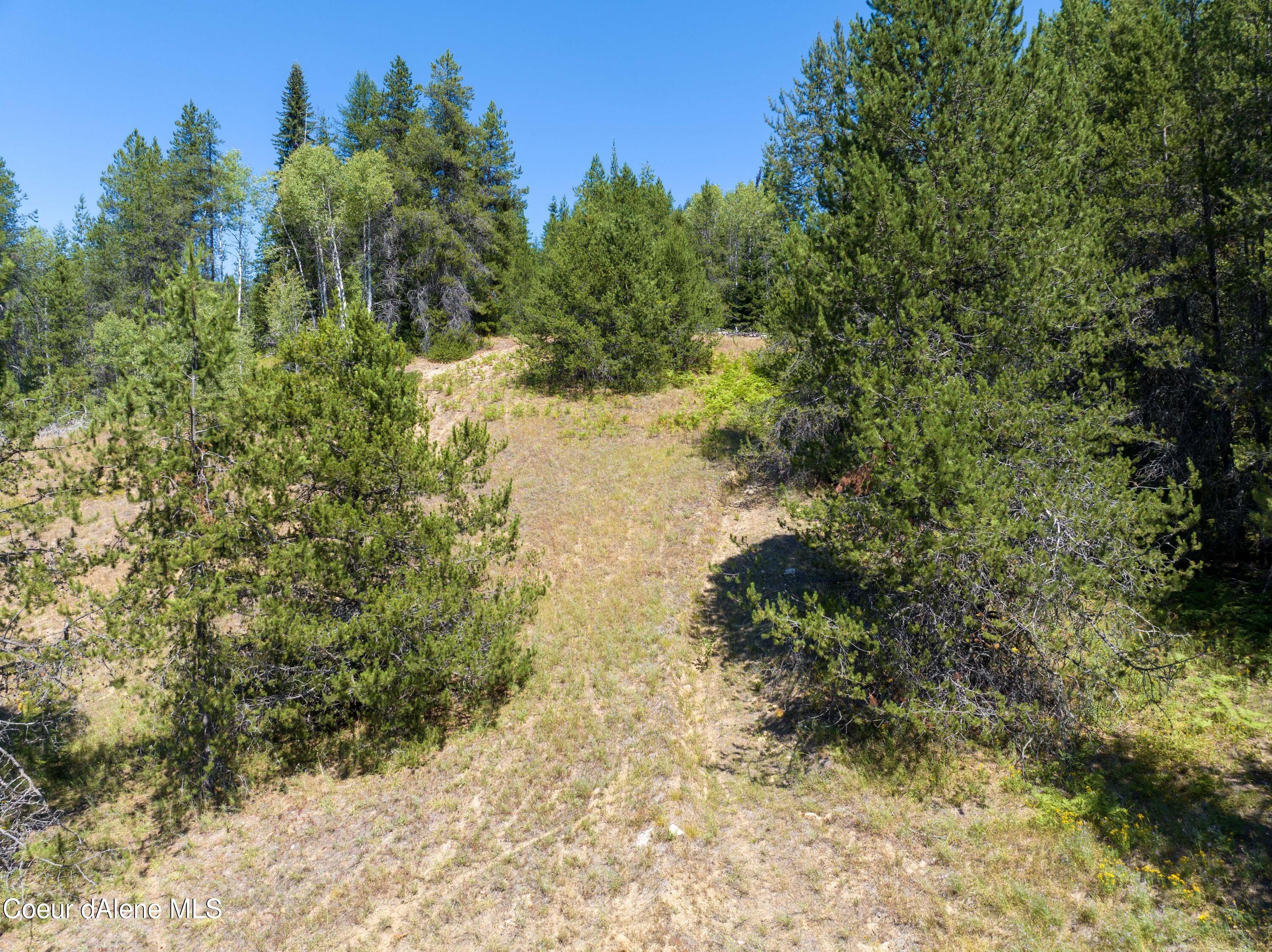 20acres Lamb Creek Rd, Priest Lake, Idaho image 2