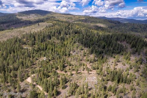 Vacant Land For Sale - 1131 Cabin Ridge Ridge<br/> Spirit Lake, ID 83869