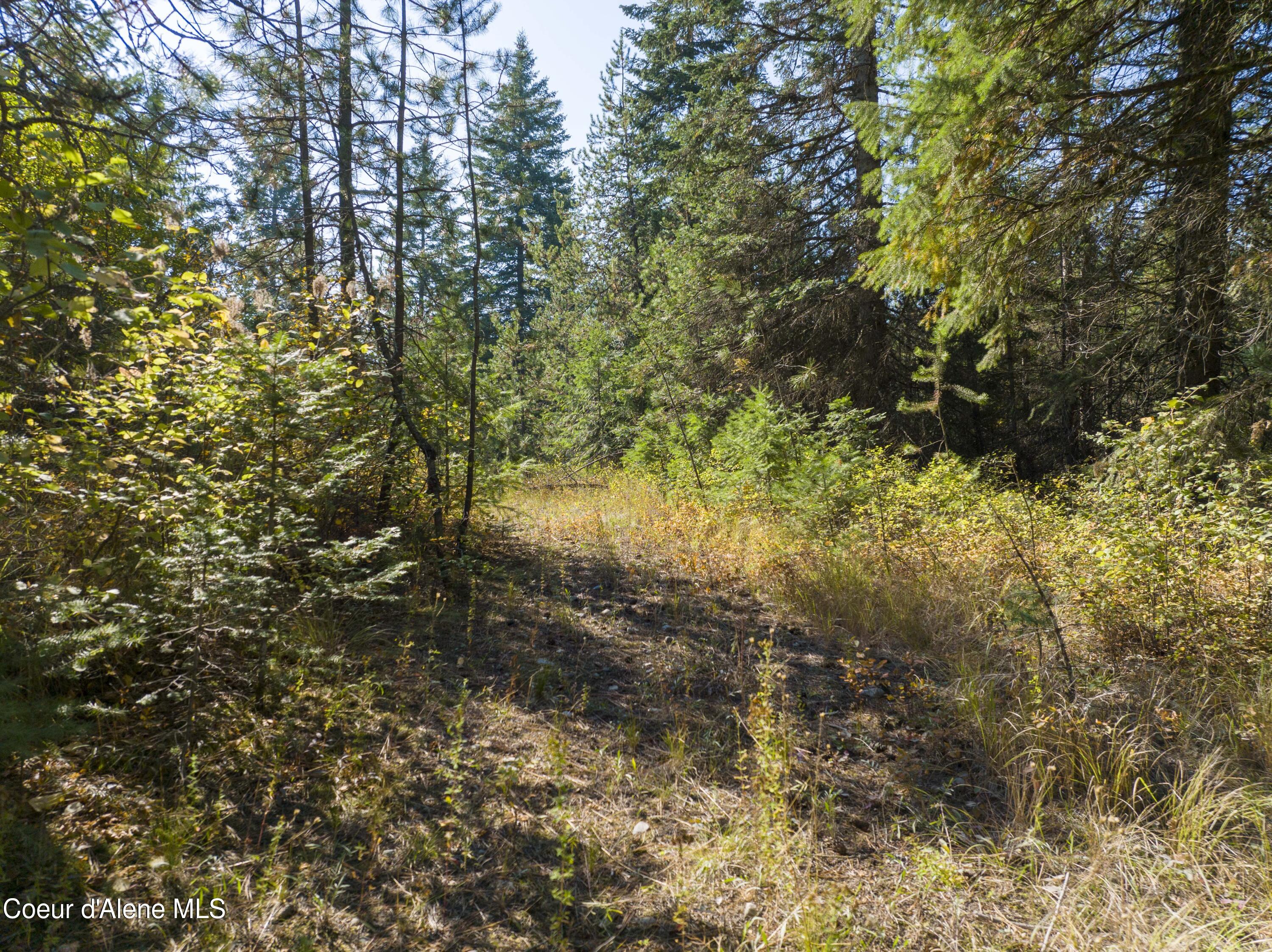 Blk1 Lot3 Gray Eagle Rd, Rathdrum, Idaho image 7