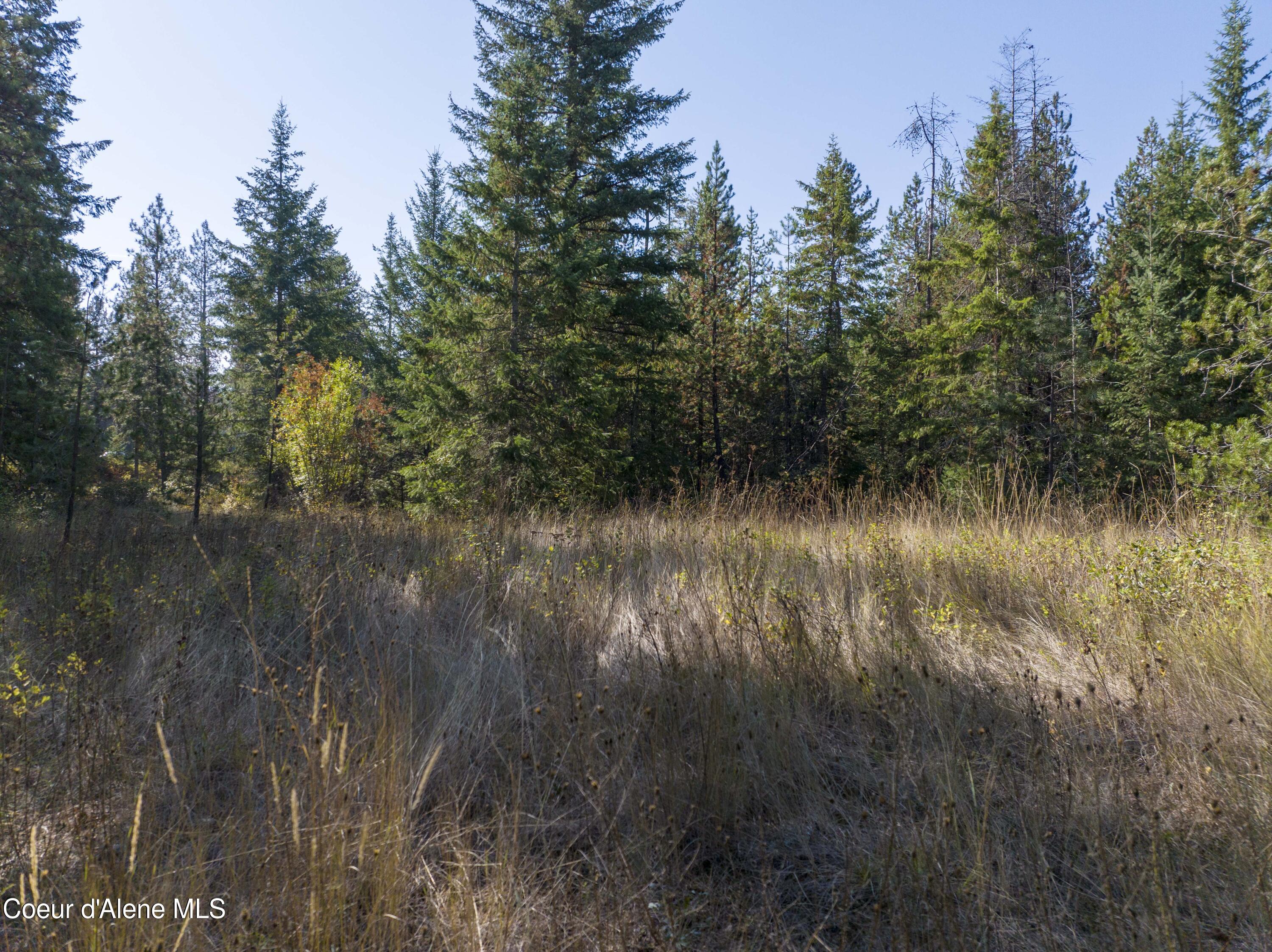 Blk1 Lot3 Gray Eagle Rd, Rathdrum, Idaho image 8