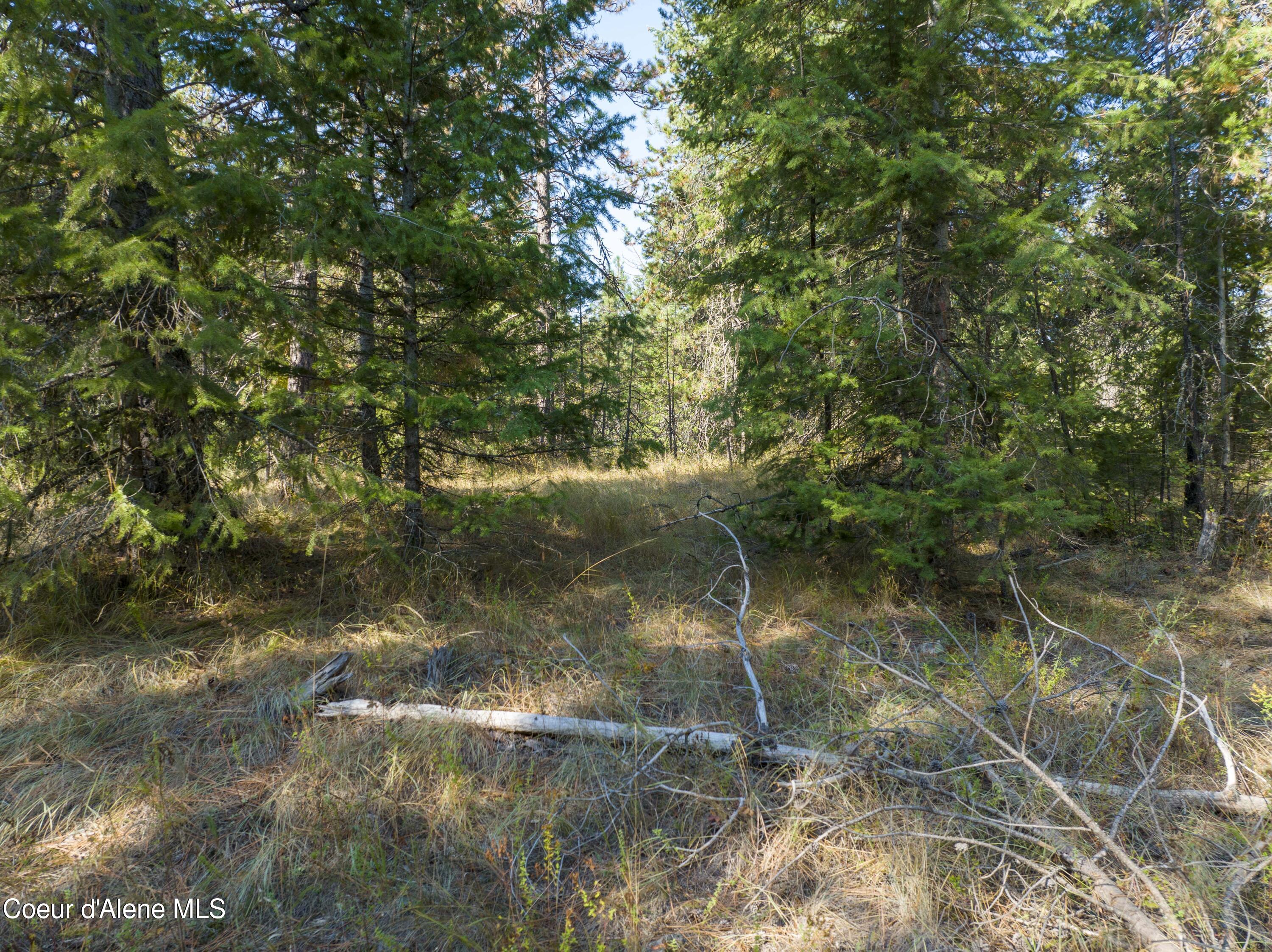 Blk1 Lot3 Gray Eagle Rd, Rathdrum, Idaho image 9