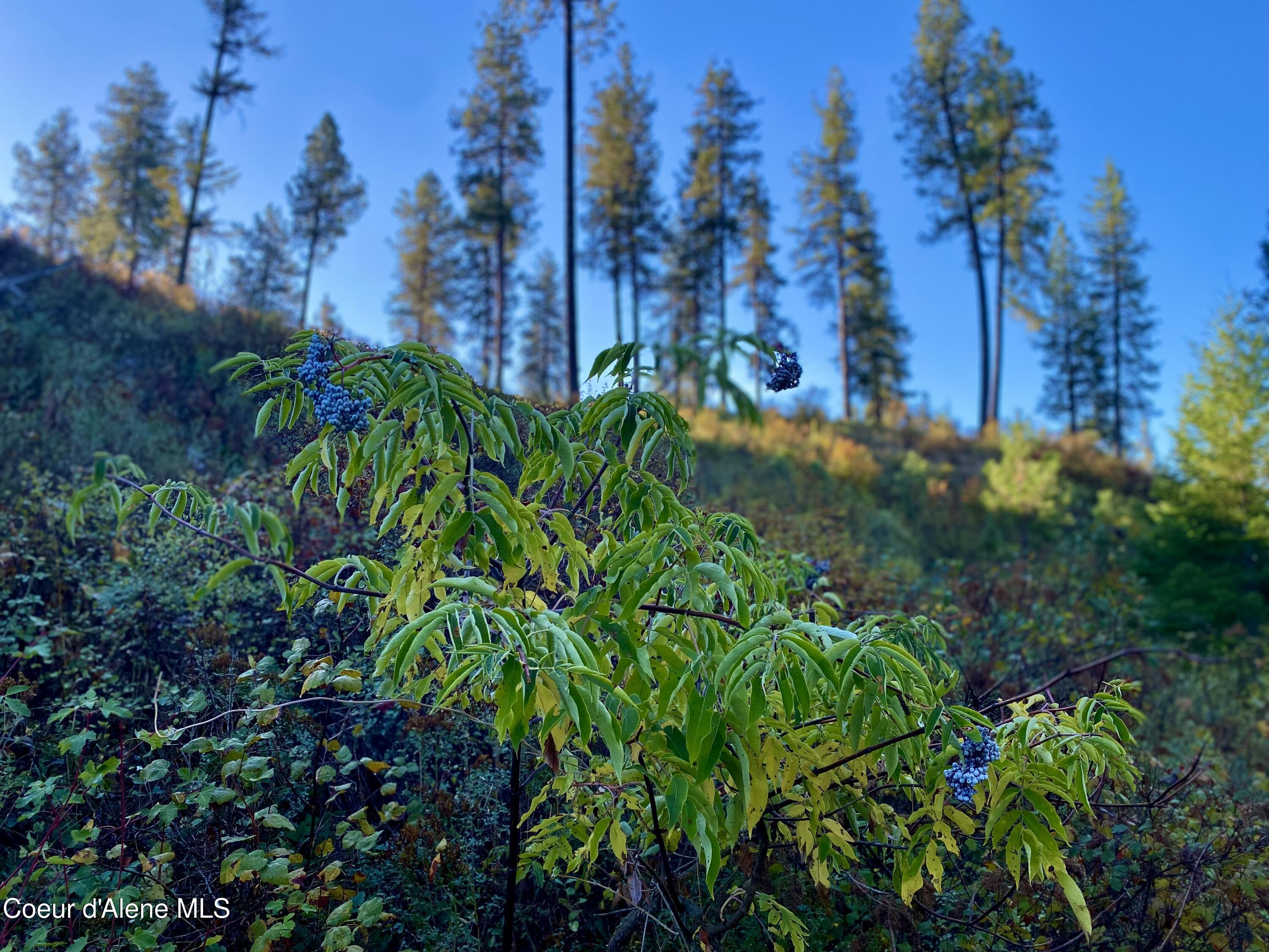 2304 S Blue Creek Rd, Coeur d'Alene, Alaska image 32