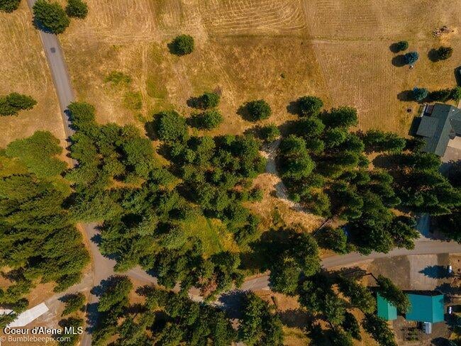 Photo of 13534 Ridgeview, Harrison, ID 83833 (MLS # 26-8451)