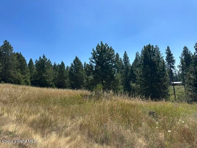 Photo of Parcel A Highway 95, Plummer, ID 83851 (MLS # 26-7891)