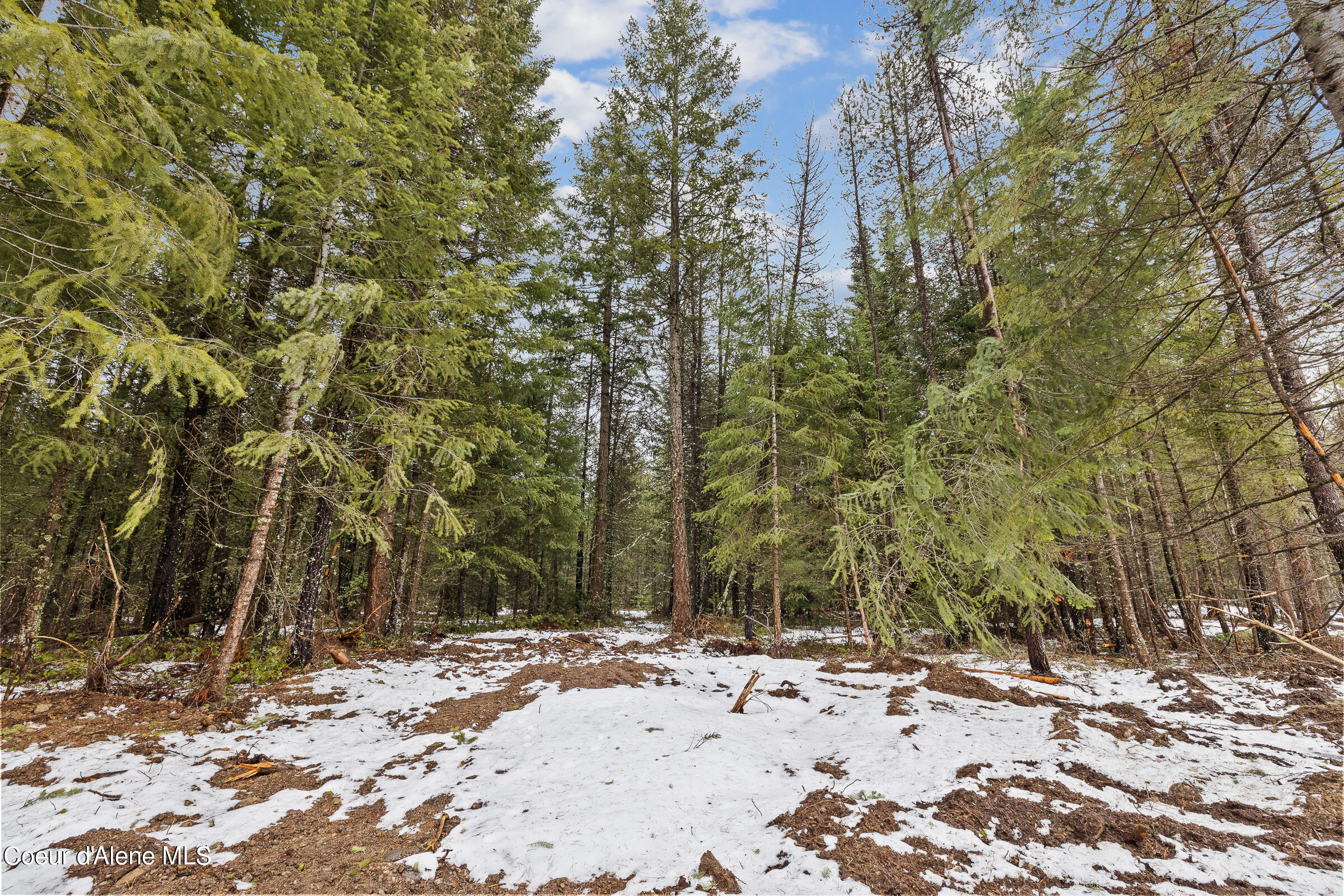 NKA W Sturgeon Rd Lot 3, Rathdrum, Idaho image 11