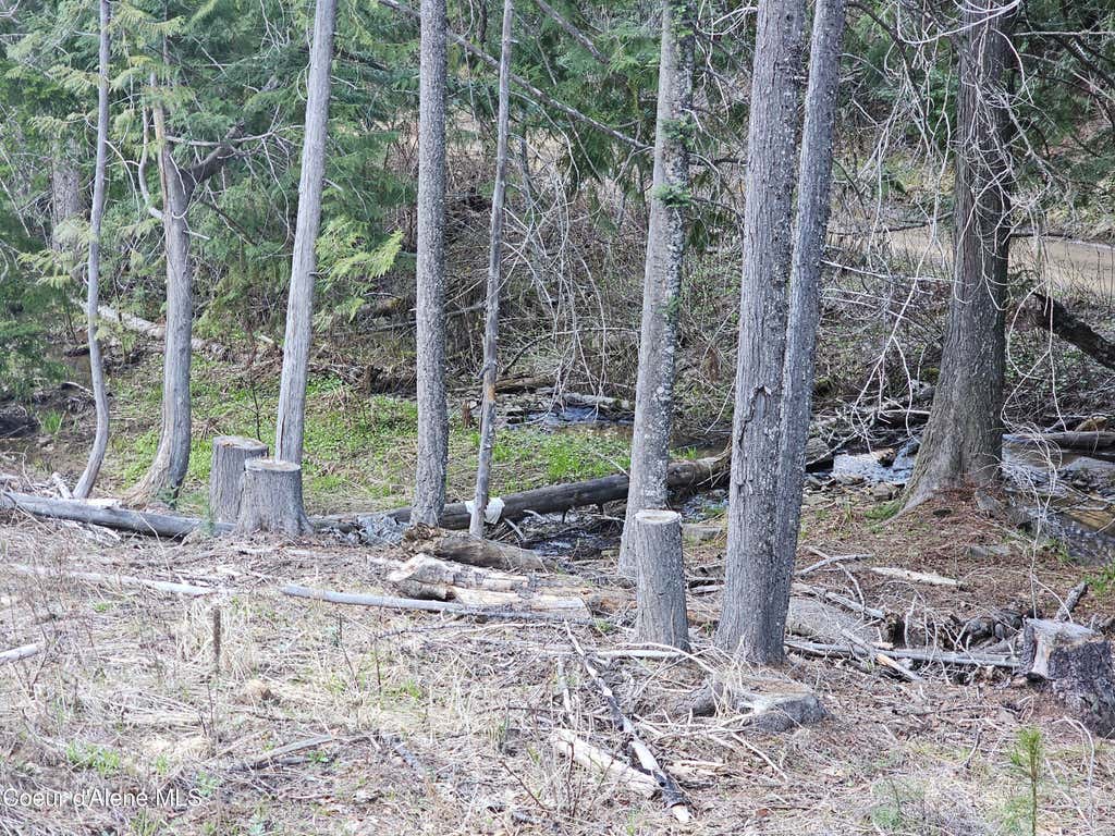Photo of NKA Alder Way Way, St. Maries, ID 83861 (MLS # 26-6349)