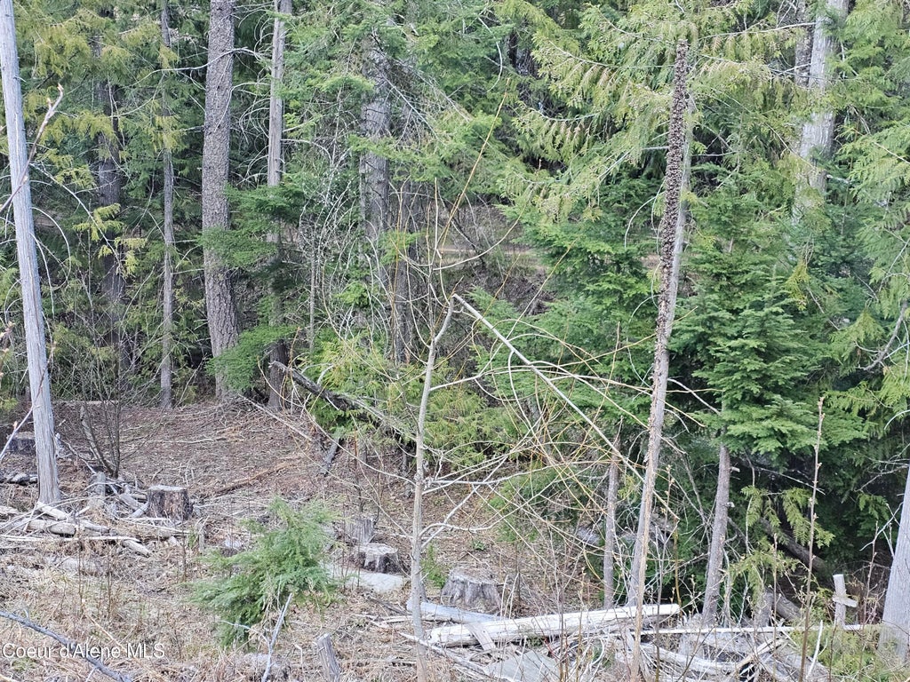 Photo of NKA Alder Way Way, St. Maries, ID 83861 (MLS # 26-6349)
