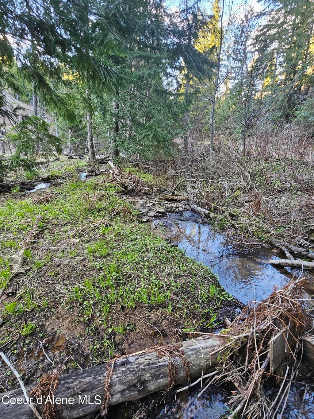 Photo of NKA Alder Way Way, St. Maries, ID 83861 (MLS # 26-6349)