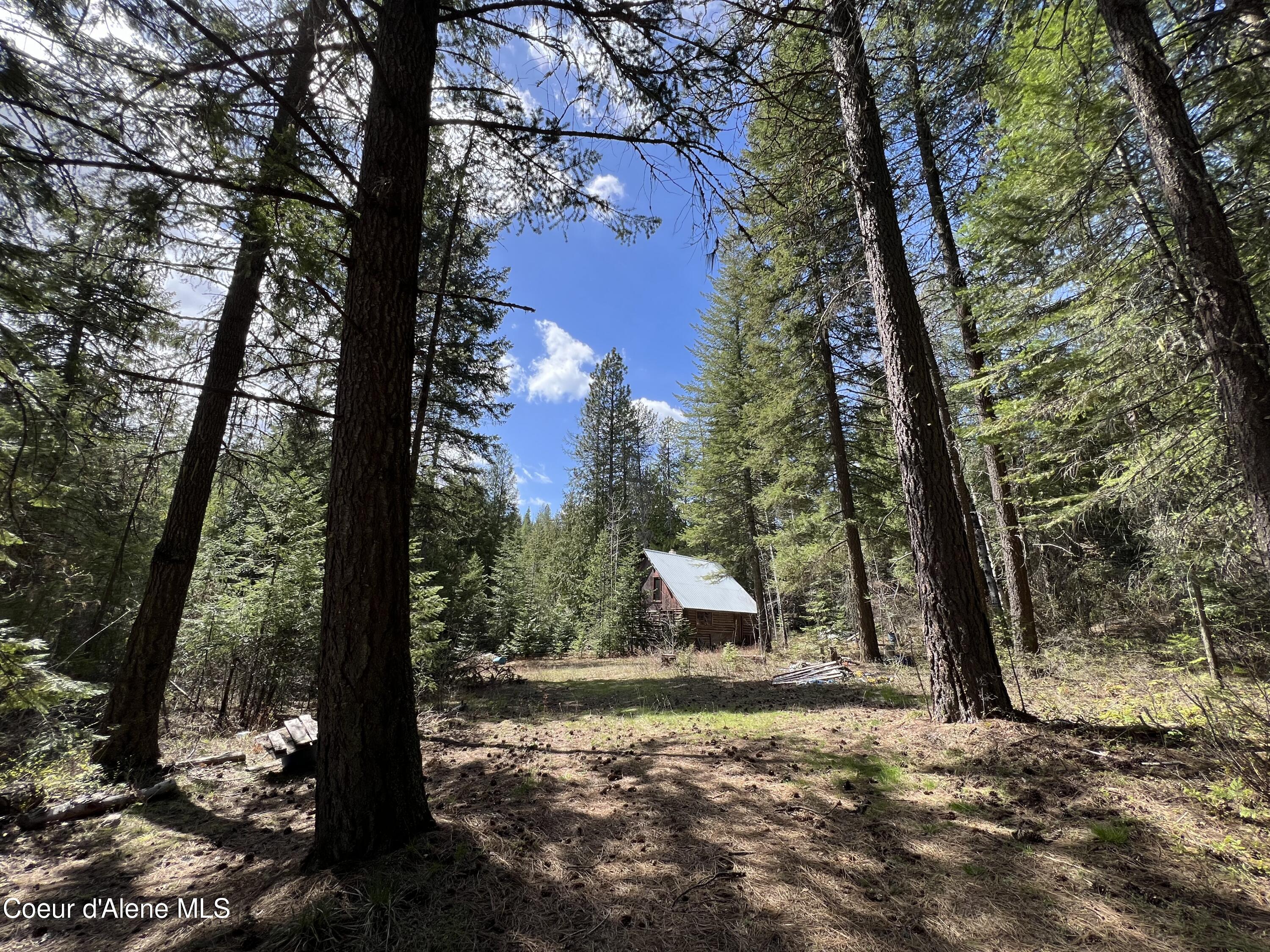 2875 Cabin Ridge, Spirit Lake, Idaho image 1