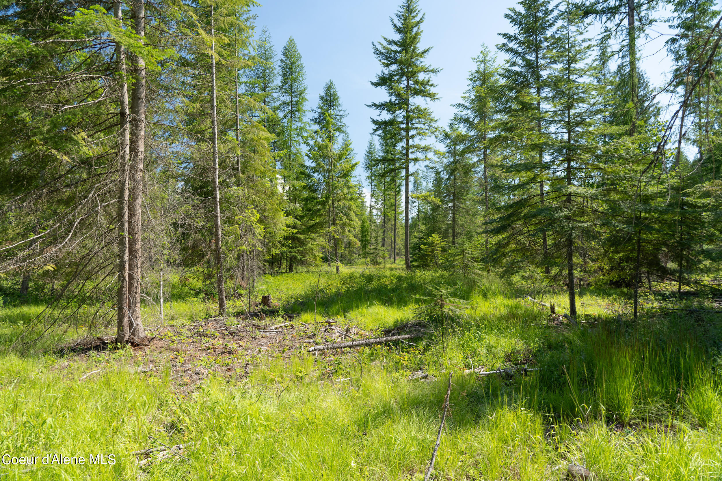 N Lot Holmes Rd, Bonners Ferry, Idaho image 5