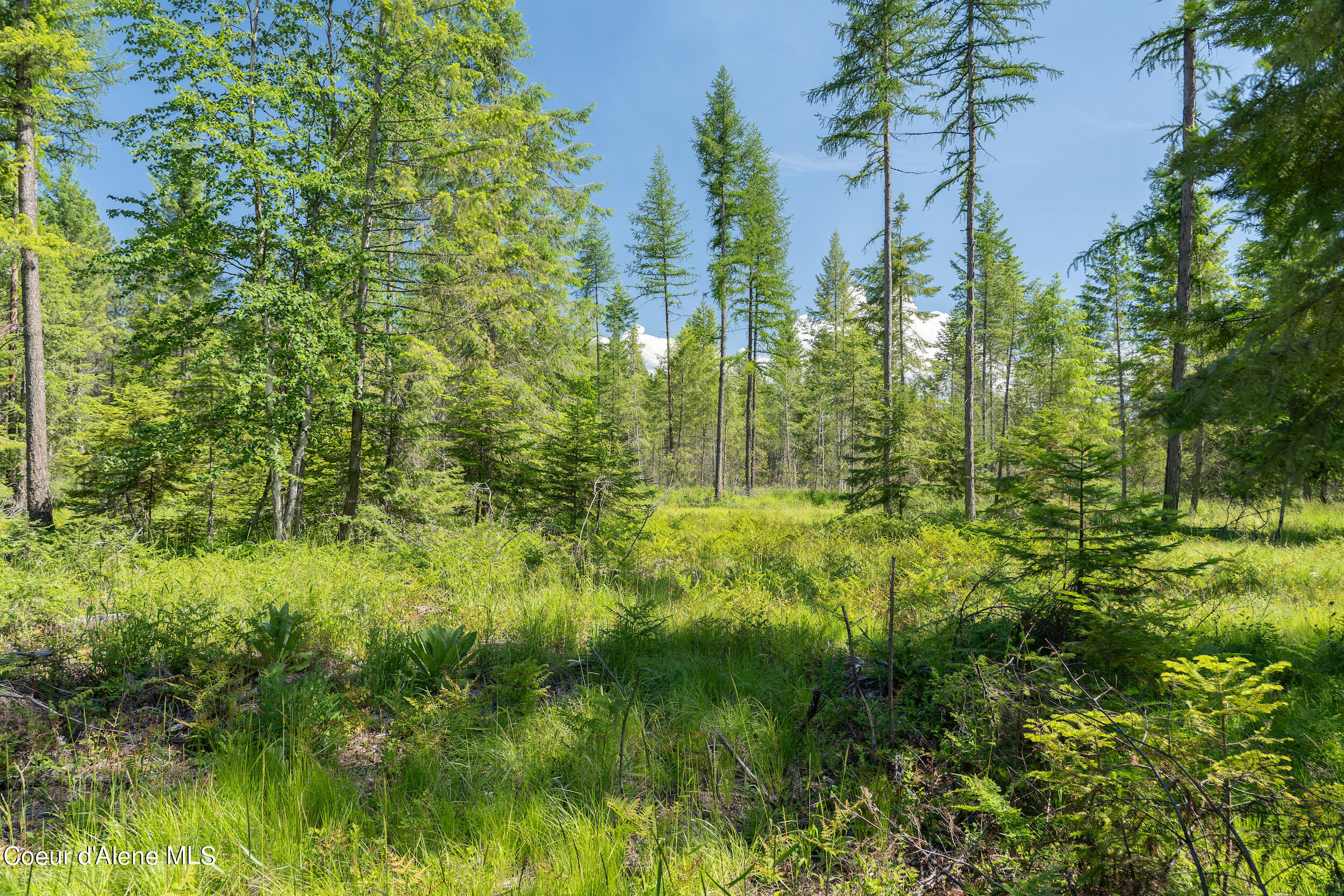 N Lot Holmes Rd, Bonners Ferry, Idaho image 7