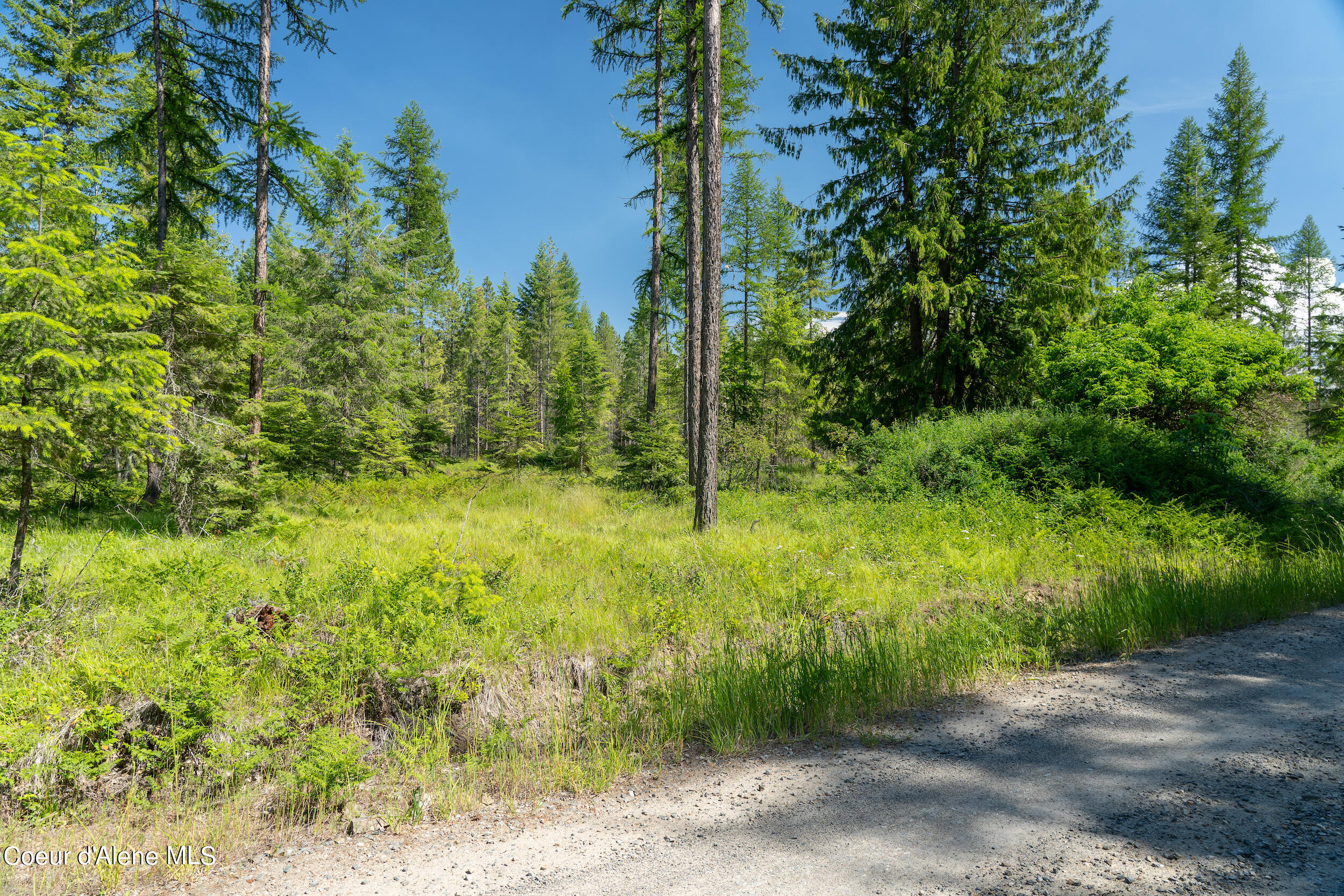 N Lot Holmes Rd, Bonners Ferry, Idaho image 8