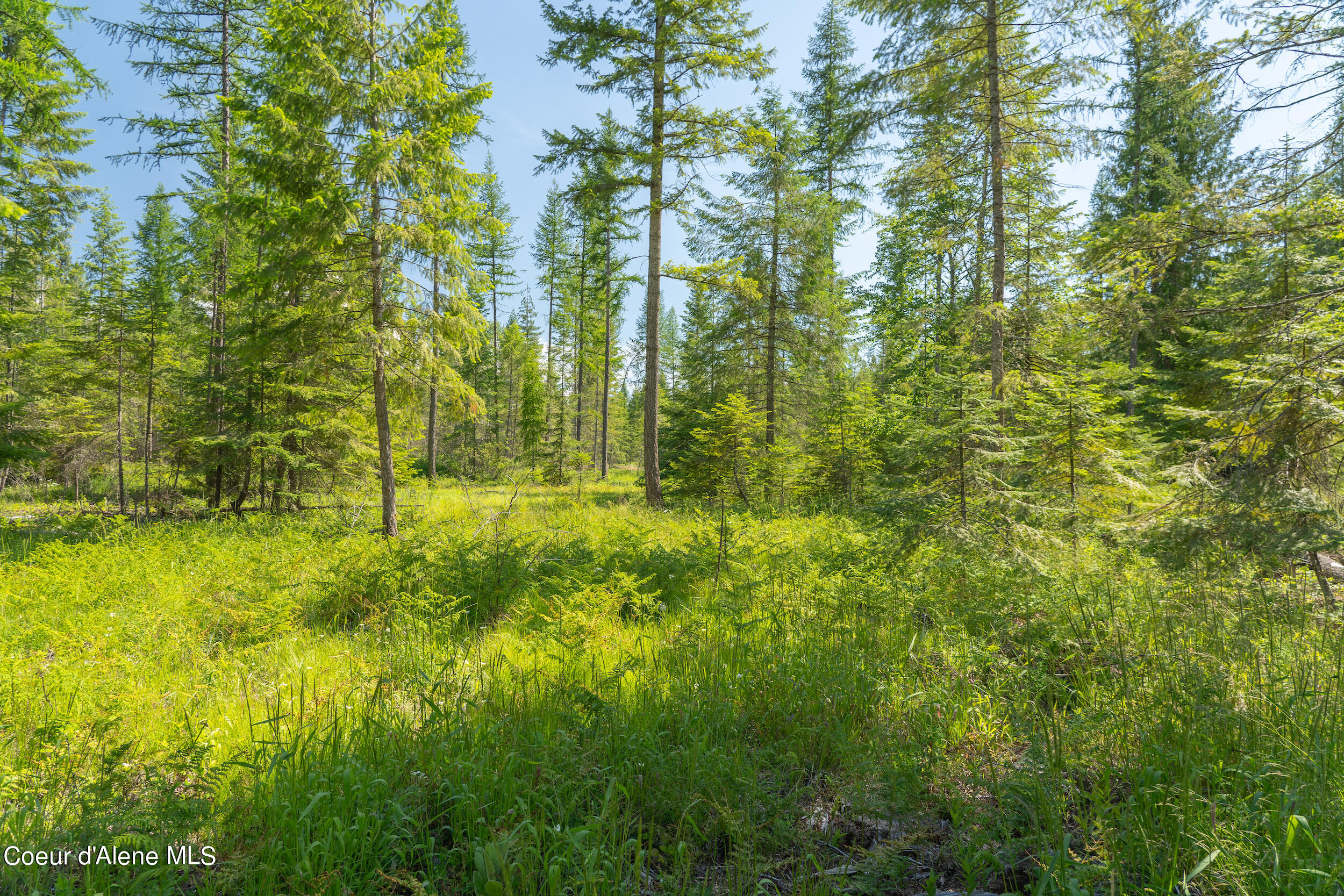 N Lot Holmes Rd, Bonners Ferry, Idaho image 6