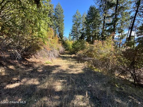 Vacant Land For Sale - L19 & L20 Terrace<br/> Kootenai County, Bayview, ID 83803