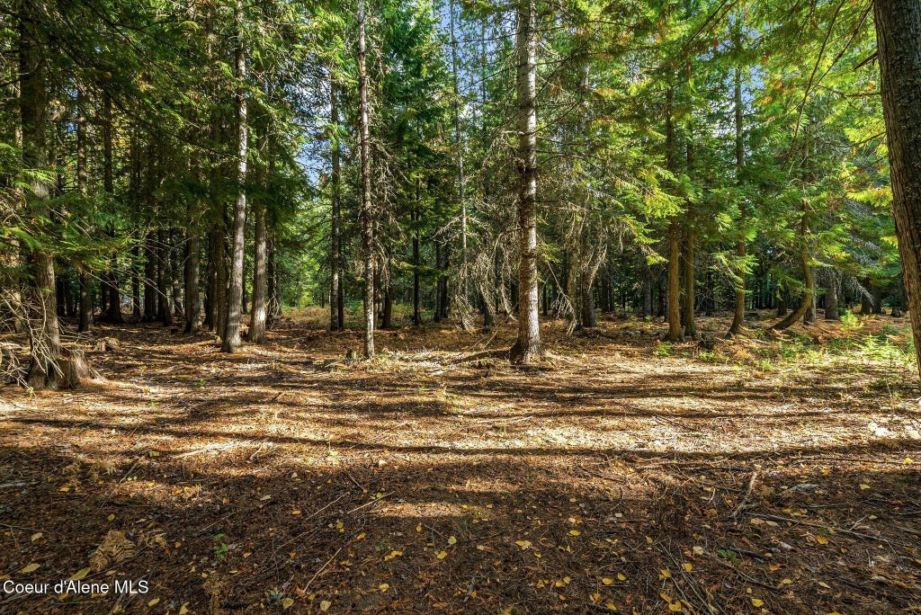 Photo of NNA Morris Road Road, Naples, ID 83847 (MLS # 26-10321)