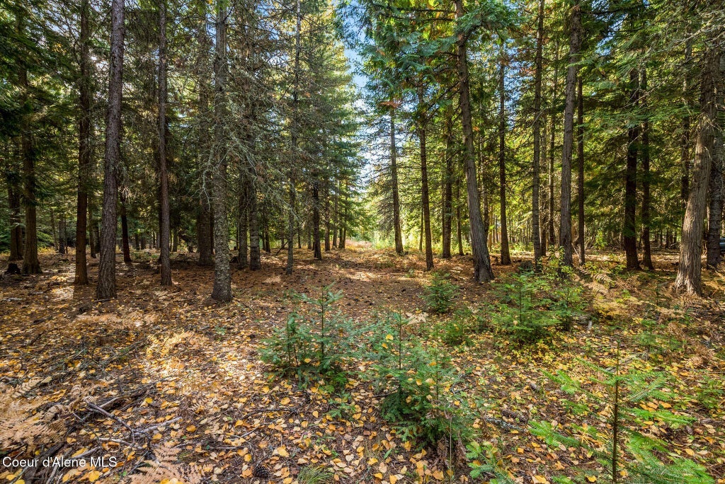 Photo of NNA Morris Road Road, Naples, ID 83847 (MLS # 26-10321)