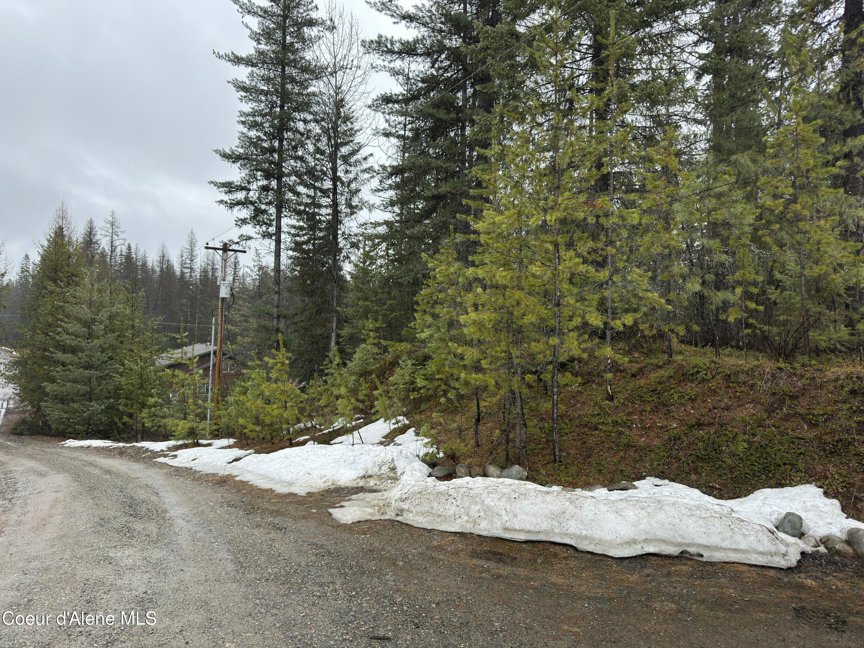 NKA Roberts Ln, Blanchard, Idaho image 9