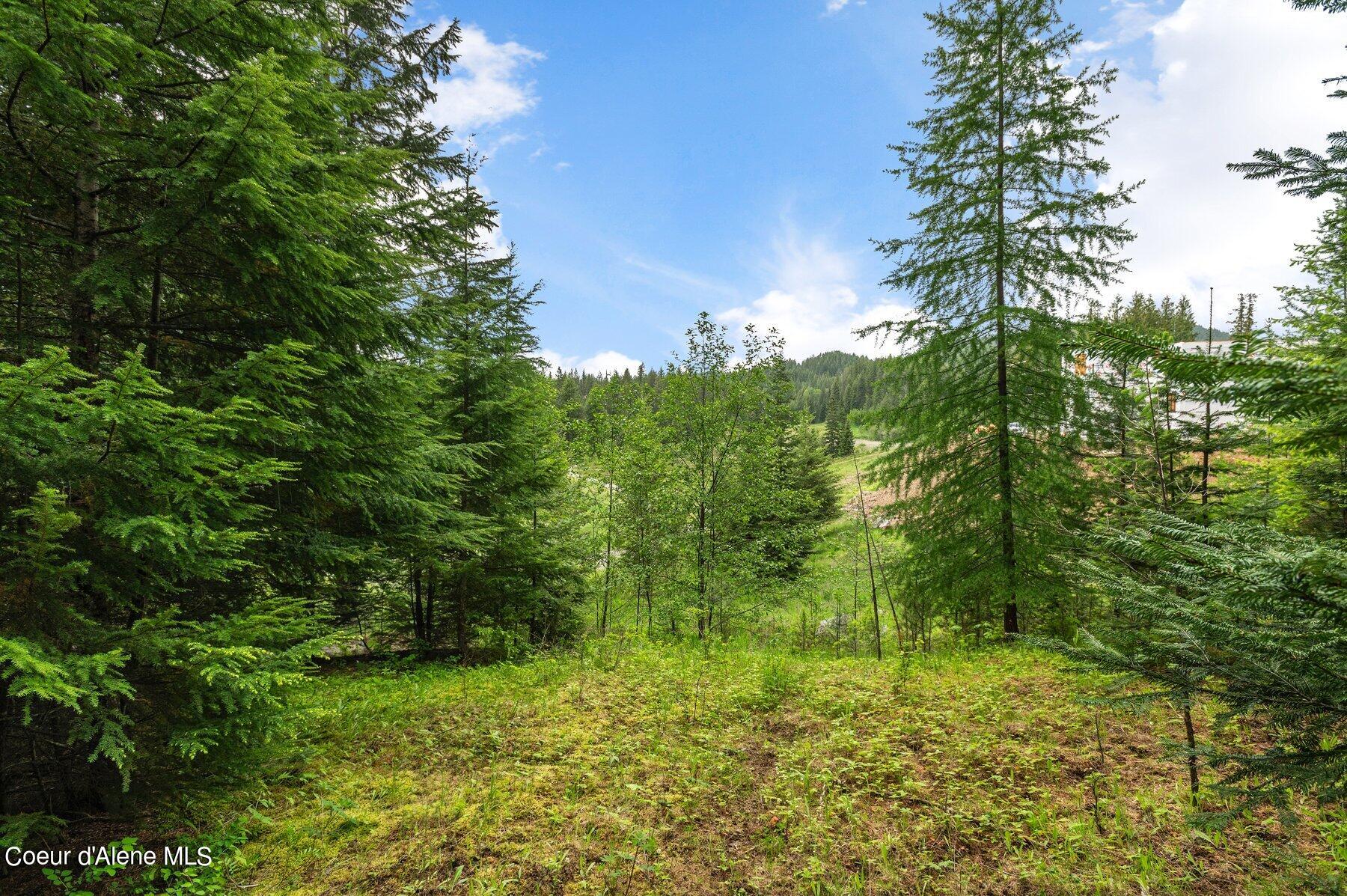 NNA B7 Wildflower Way, Sandpoint, Alaska image 6