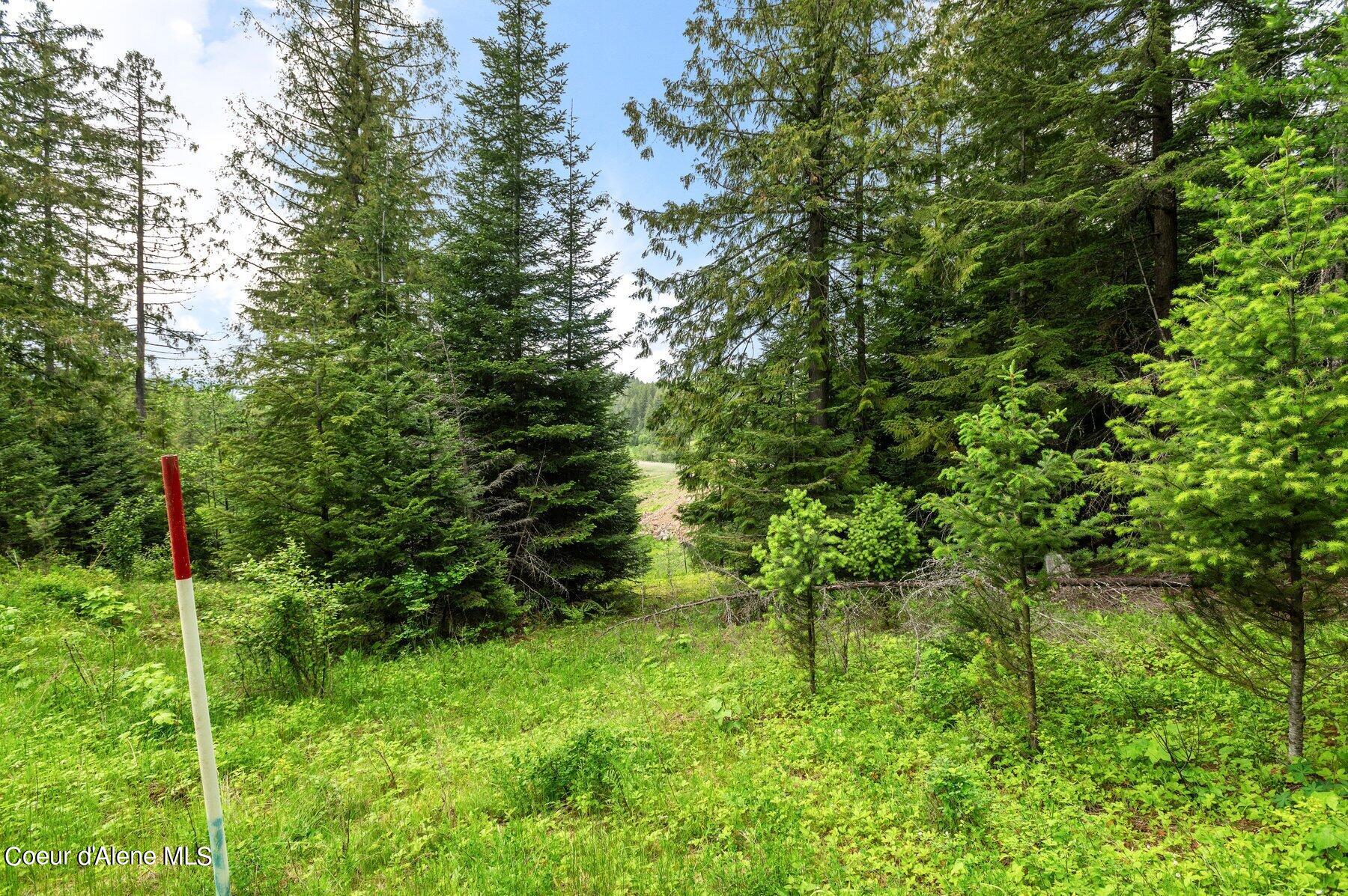 NNA B7 Wildflower Way, Sandpoint, Alaska image 10