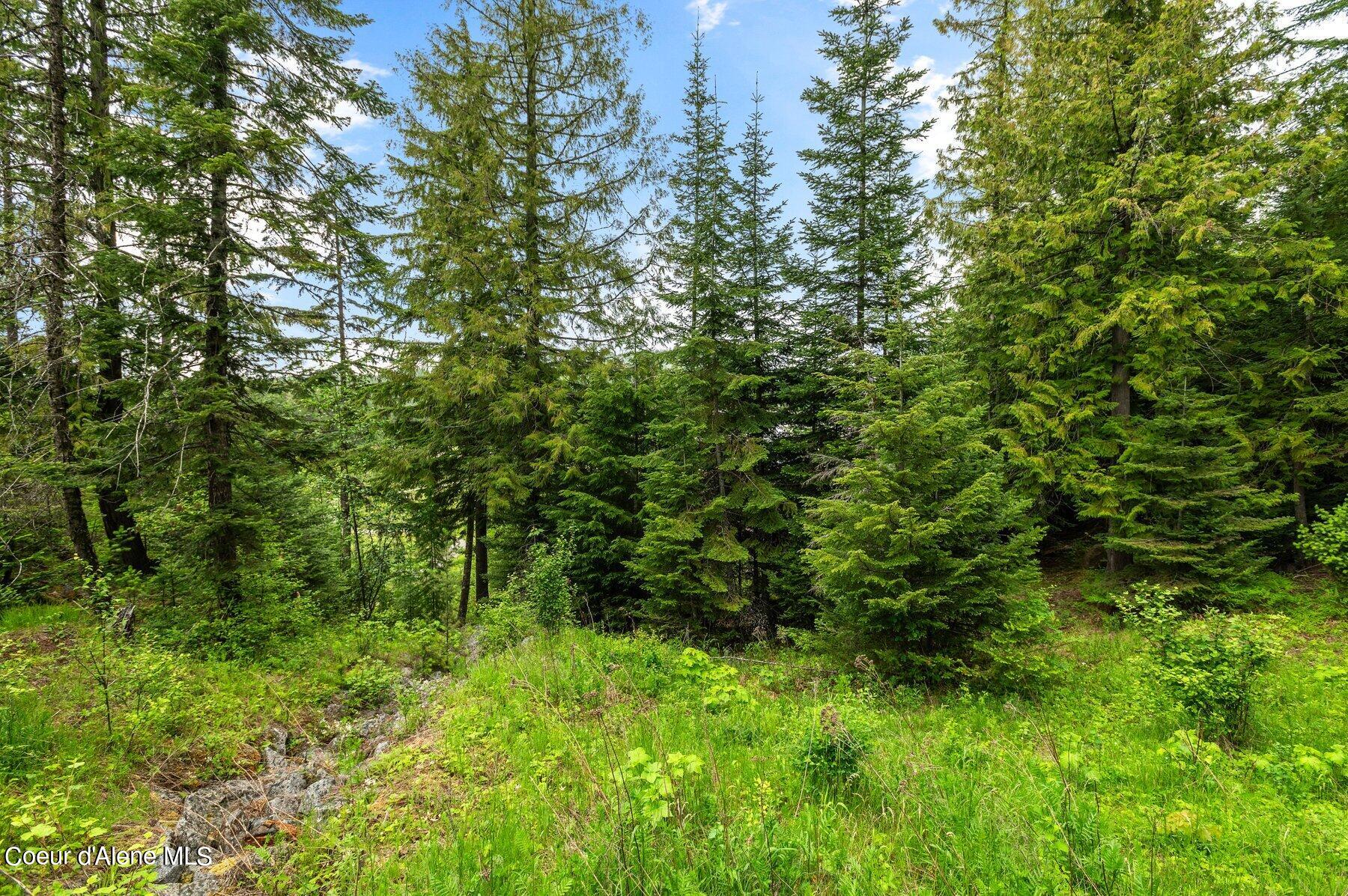NNA B7 Wildflower Way, Sandpoint, Alaska image 12