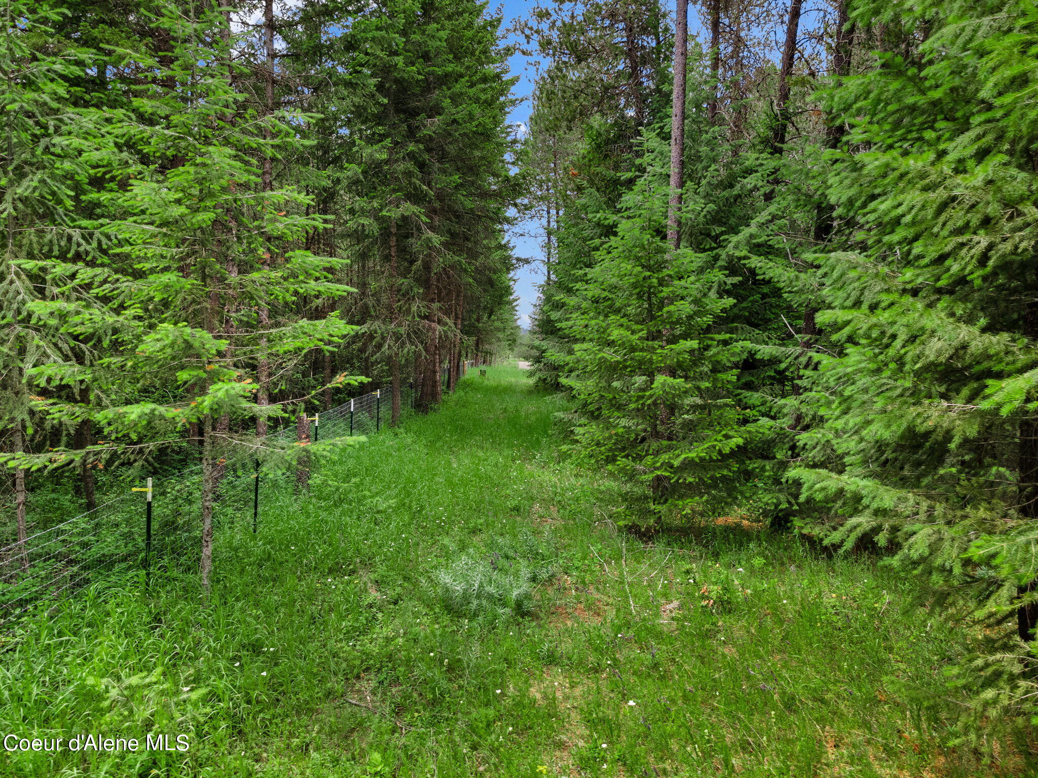 NKA Rock Springs Rd. Lot 2a, Athol, Idaho image 8