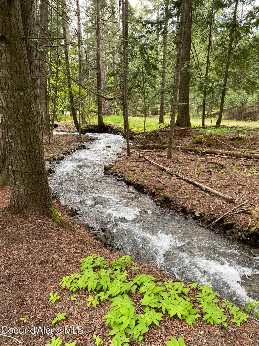 Photo of 965 Denton Rd, Hope, ID 83836 (MLS # 26-1884)