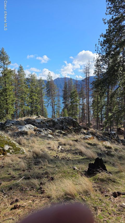 Vacant Land For Sale - NNA Terrace<br/> Bayview, ID 83803