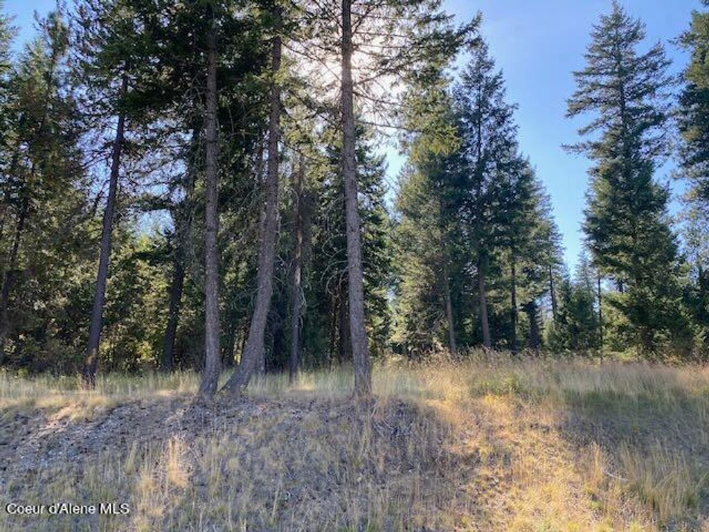 Photo of L4B10 Walden Loop, Rathdrum, ID 83858 (MLS # 24-8780)