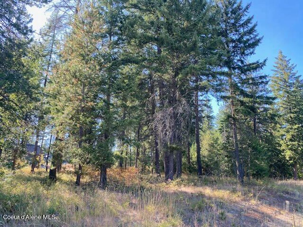 Photo of L4B10 Walden Loop, Rathdrum, ID 83858 (MLS # 24-8780)