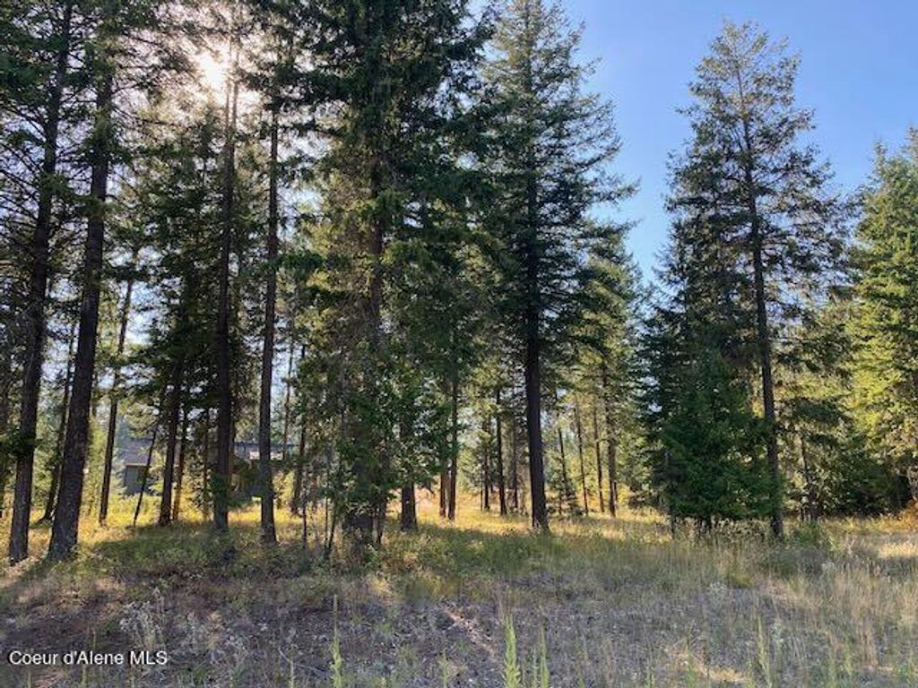 Photo of L4B10 Walden Loop, Rathdrum, ID 83858 (MLS # 24-8780)