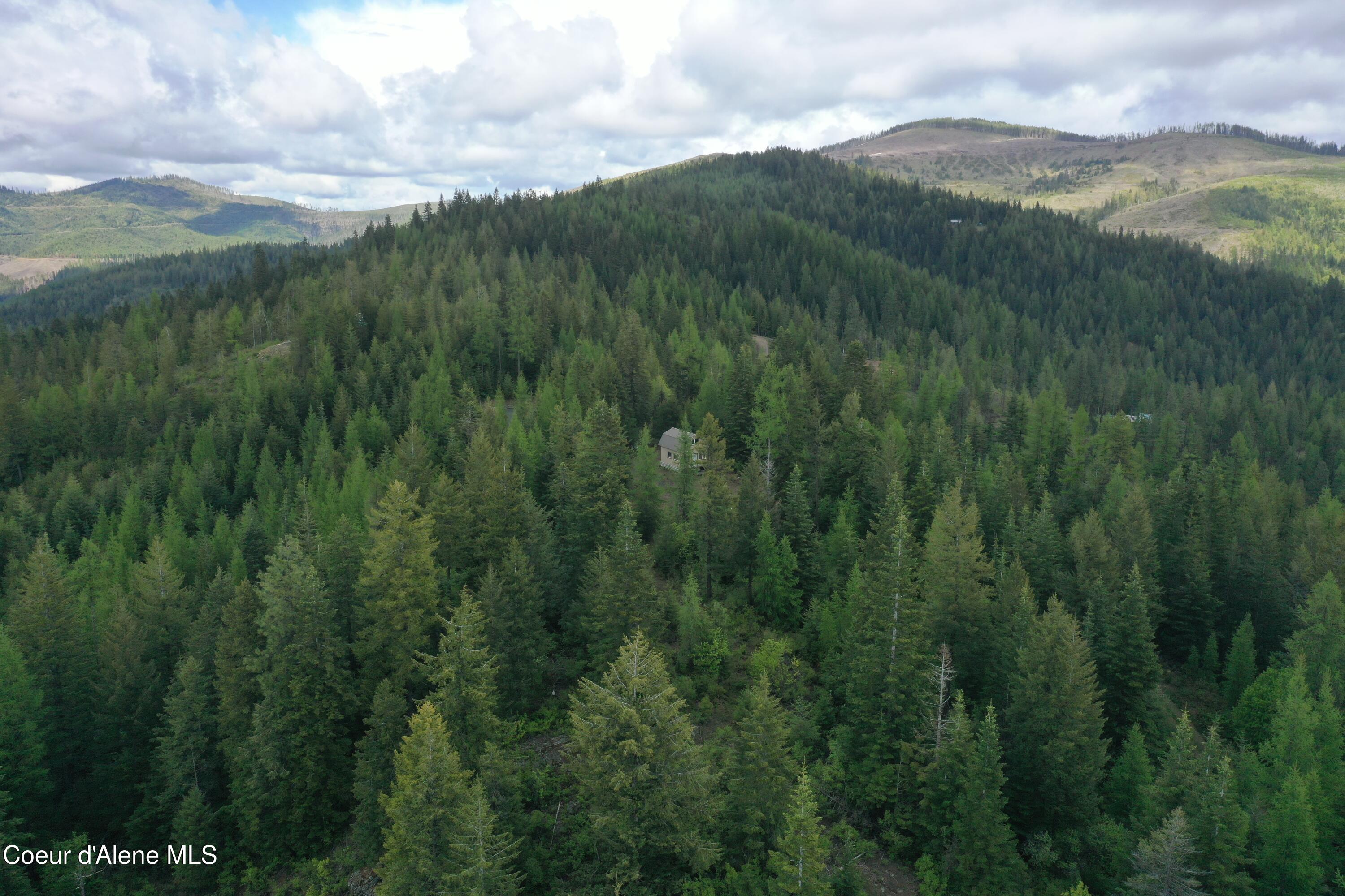 371 N Upriver View Dr, Fernwood, Alaska image 7