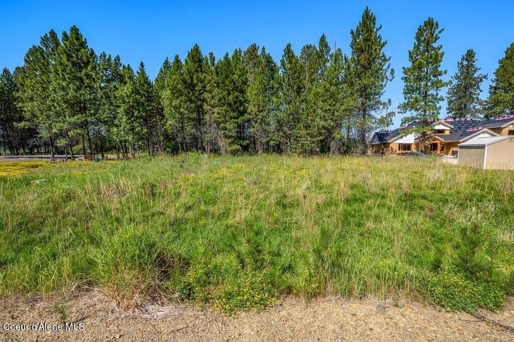 Photo of 219 BALD EAGLE Dr, Newport, WA 99156 (MLS # 25-9914)
