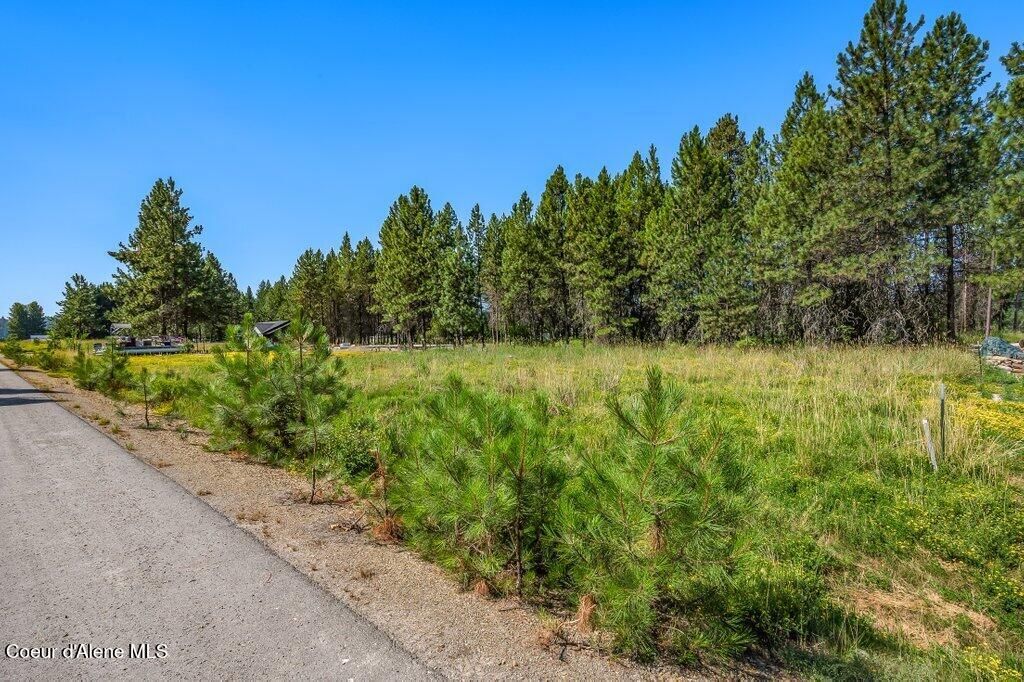 Photo of 219 BALD EAGLE Dr, Newport, WA 99156 (MLS # 25-9914)