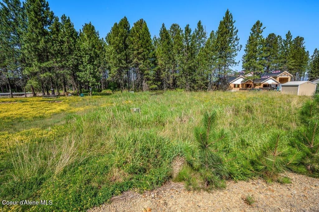 Photo of 219 BALD EAGLE Dr, Newport, WA 99156 (MLS # 25-9914)
