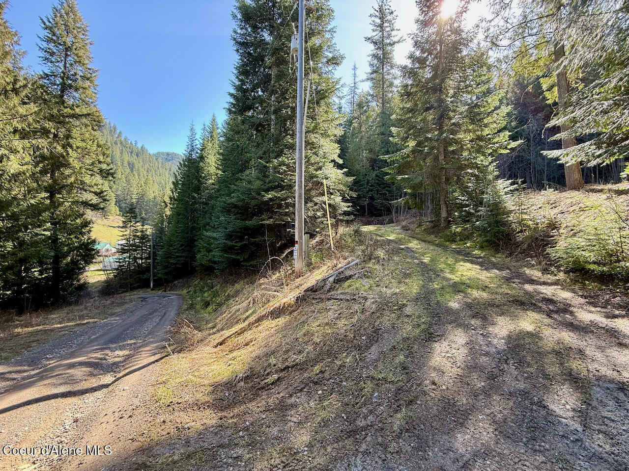 498 Revenue Gulch Rd, Silverton, Alaska image 5