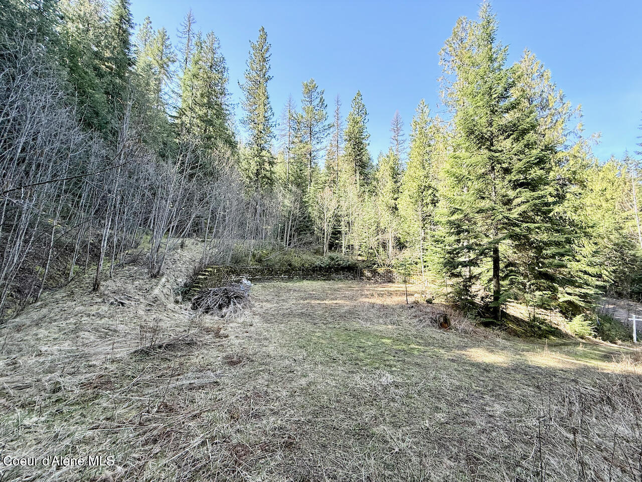 498 Revenue Gulch Rd, Silverton, Alaska image 9