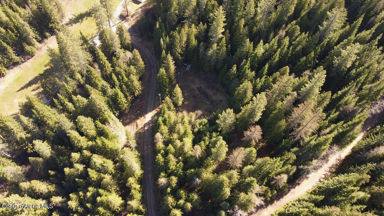 498 Revenue Gulch Rd, Silverton, Alaska image 6