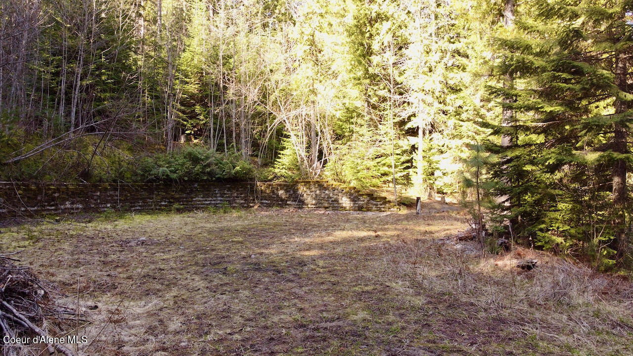 498 Revenue Gulch Rd, Silverton, Alaska image 12