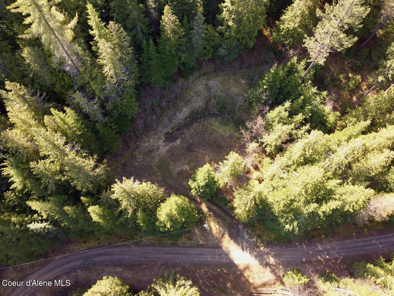 498 Revenue Gulch Rd, Silverton, Alaska image 3