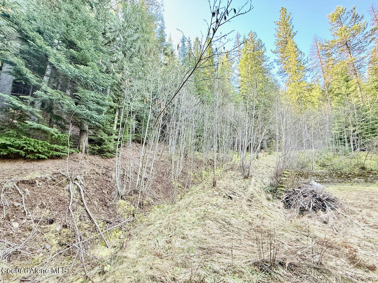 498 Revenue Gulch Rd, Silverton, Alaska image 15