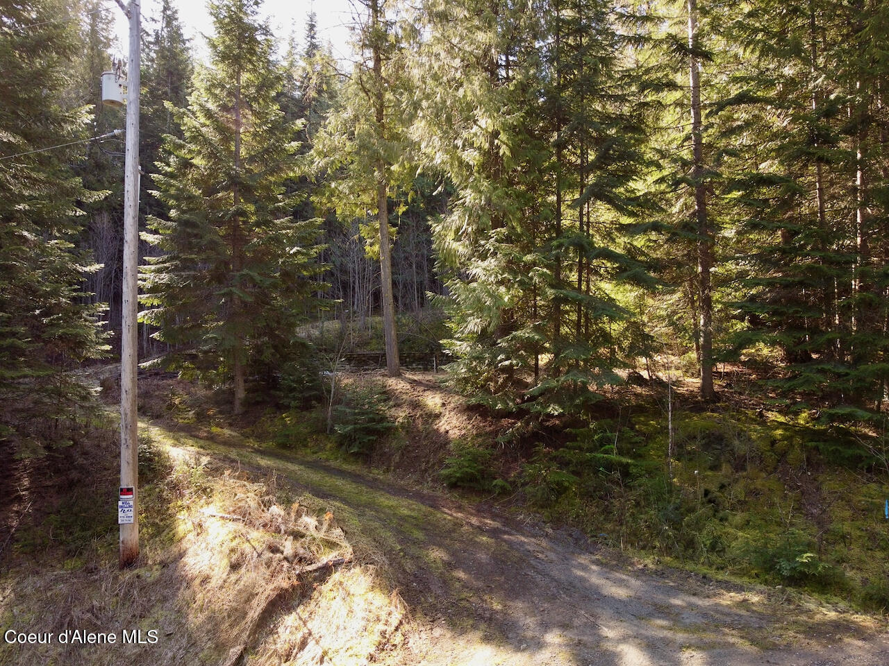498 Revenue Gulch Rd, Silverton, Alaska image 4
