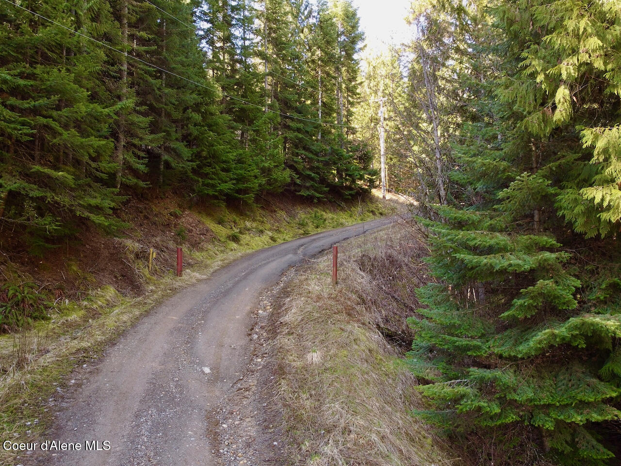 498 Revenue Gulch Rd, Silverton, Alaska image 2