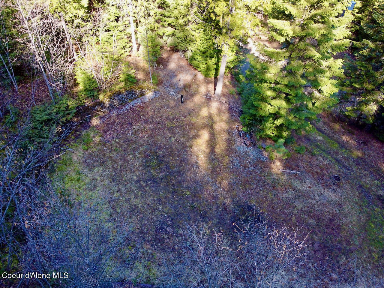 498 Revenue Gulch Rd, Silverton, Alaska image 8
