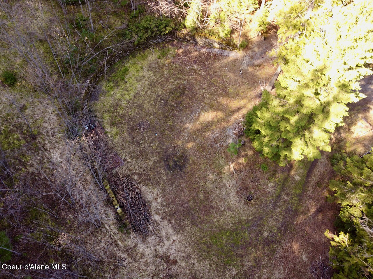 498 Revenue Gulch Rd, Silverton, Alaska image 7