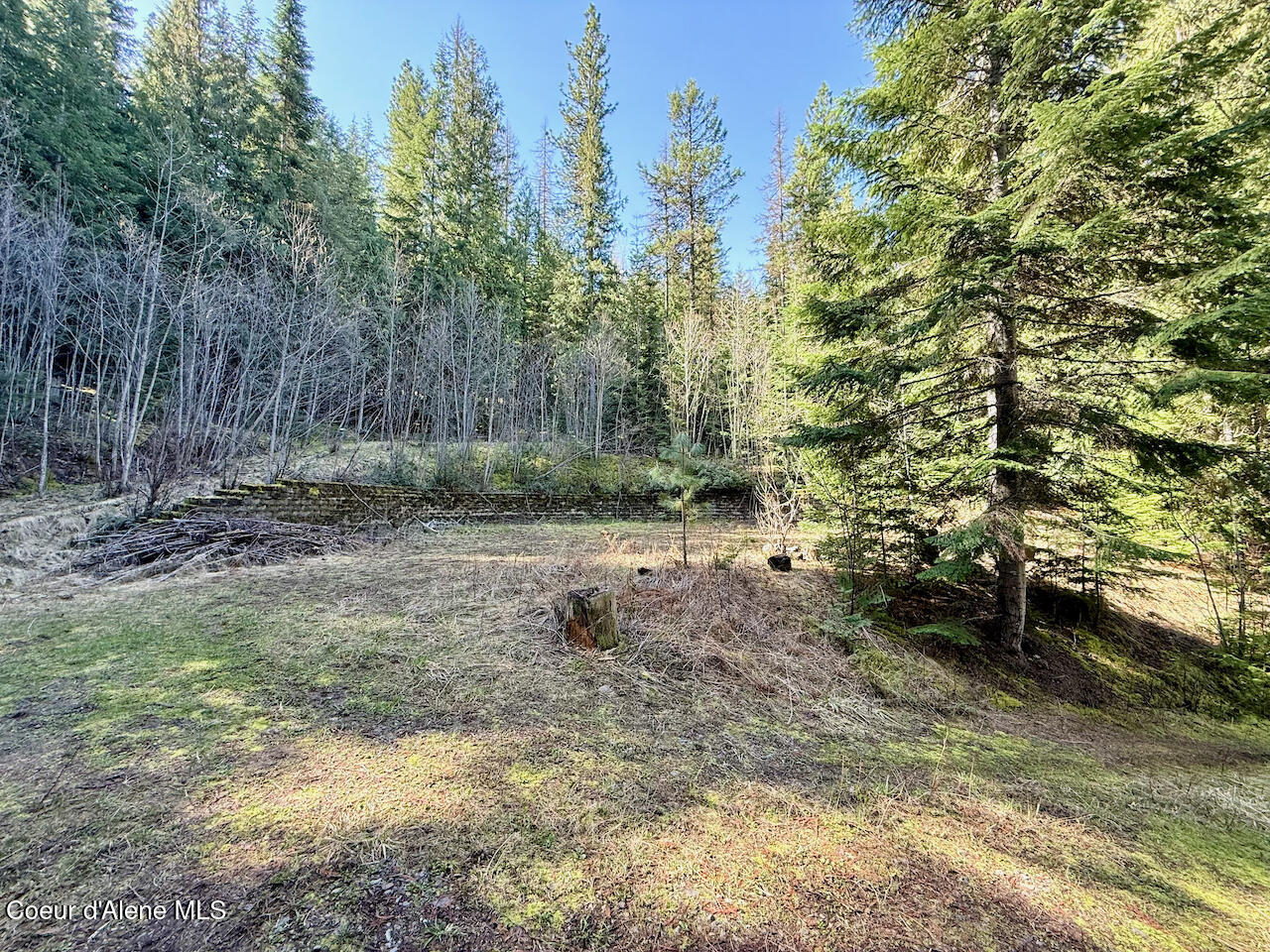 498 Revenue Gulch Rd, Silverton, Alaska image 11