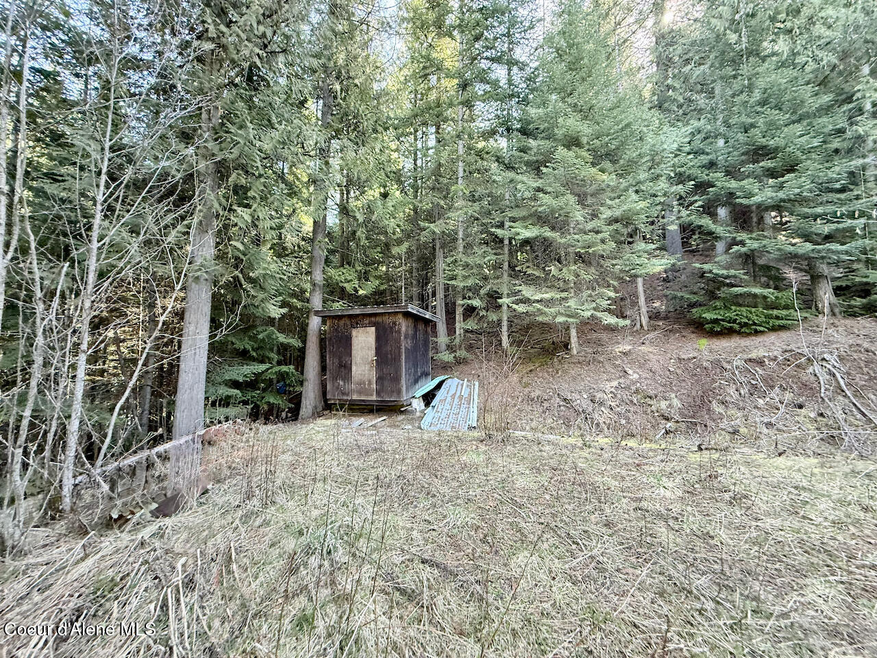 498 Revenue Gulch Rd, Silverton, Alaska image 10