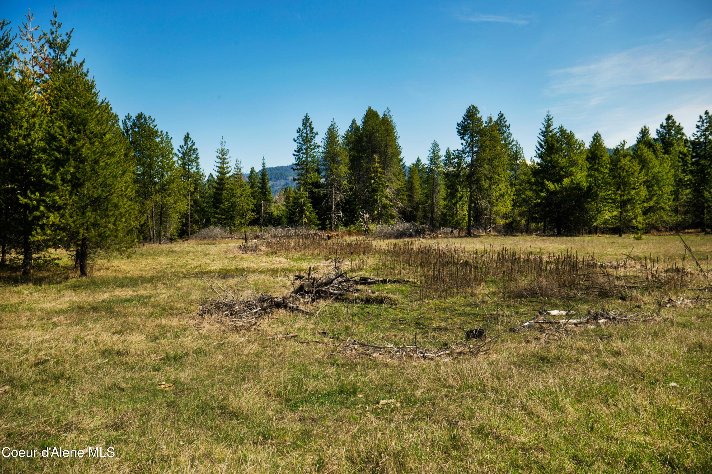 NKA Miss Kitty Ln, Priest River, Idaho image 2