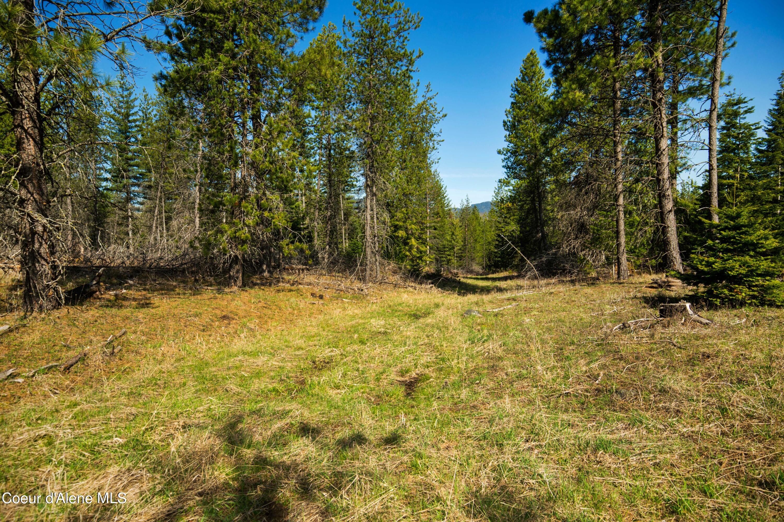 NKA Miss Kitty Ln, Priest River, Idaho image 3