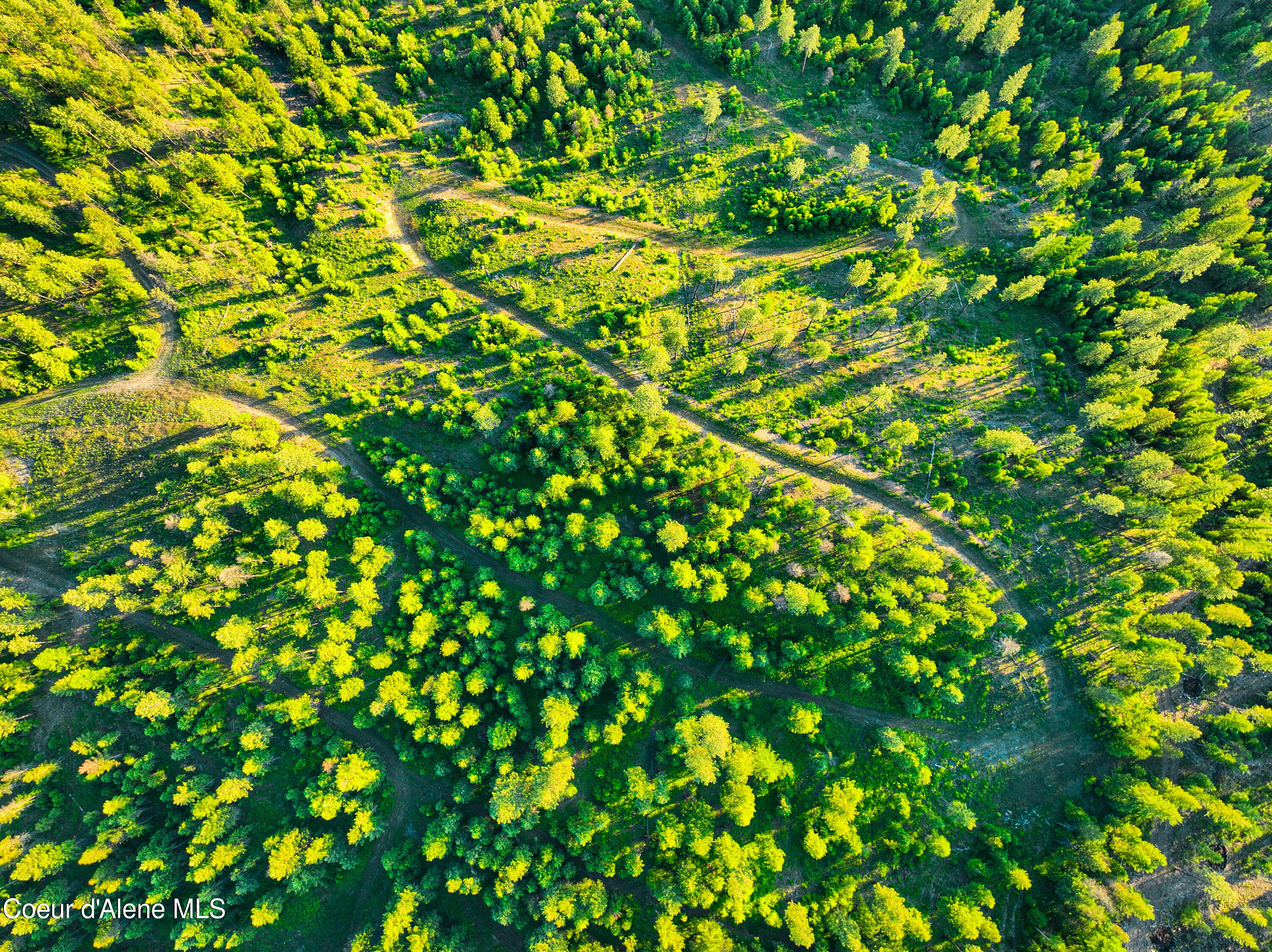 NKA Us-2, Moyie Springs, Idaho image 27