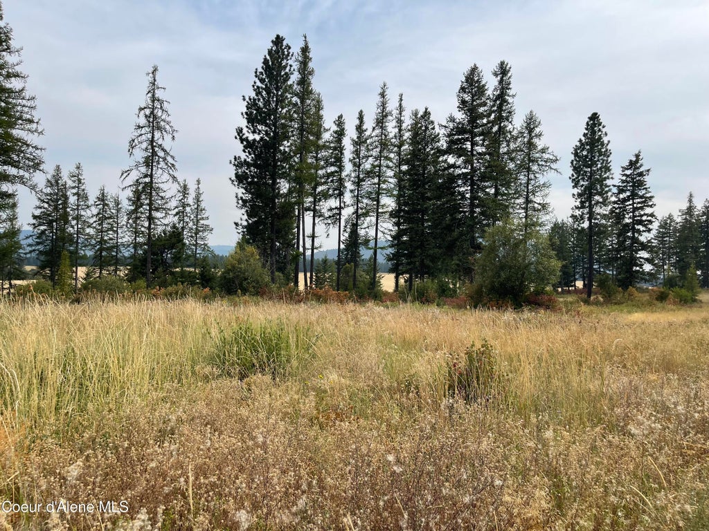 Photo of 612 Freedom, Plummer, ID 83851 (MLS # 26-9037)